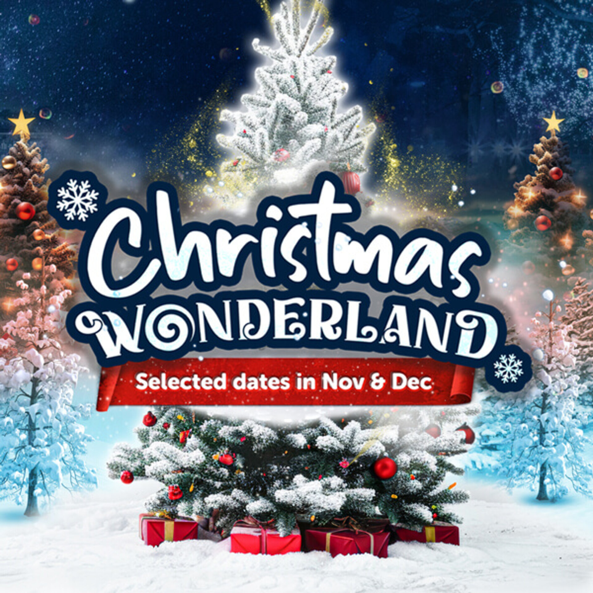 Christmas Wonderland